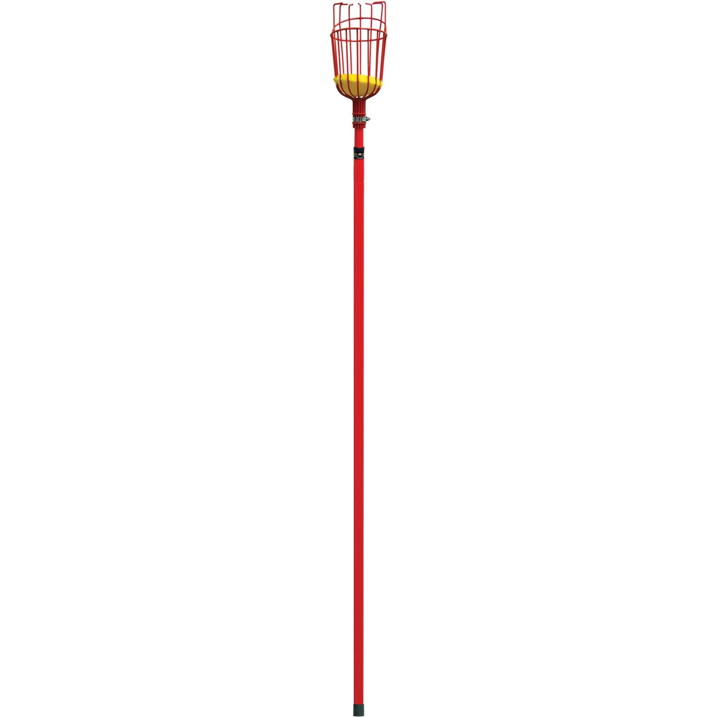 Extendable Fruit Picker, 12 ft.