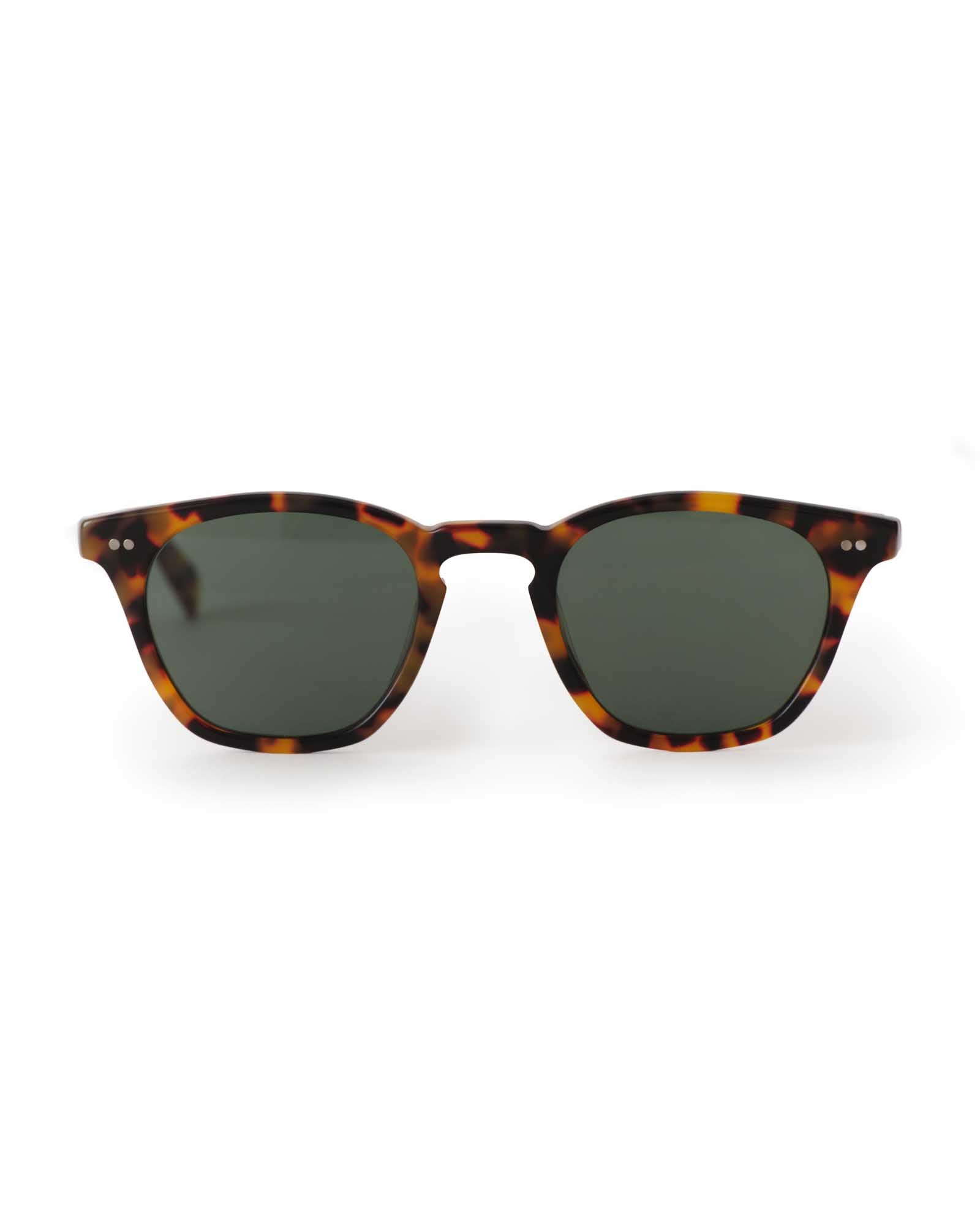 The Legend in Tokyo Tortoise